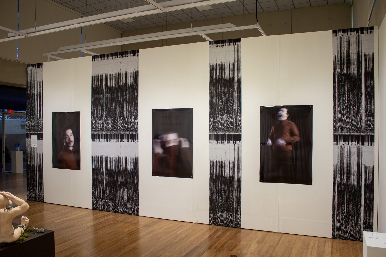 The installation from another angle: three blurred portraits hung between tall spectrogram strips.