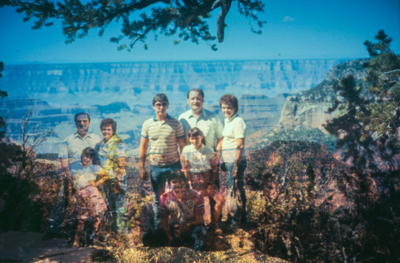 Family posed at a canyon rim, framed by pine branches, with a second group layered faintly in.