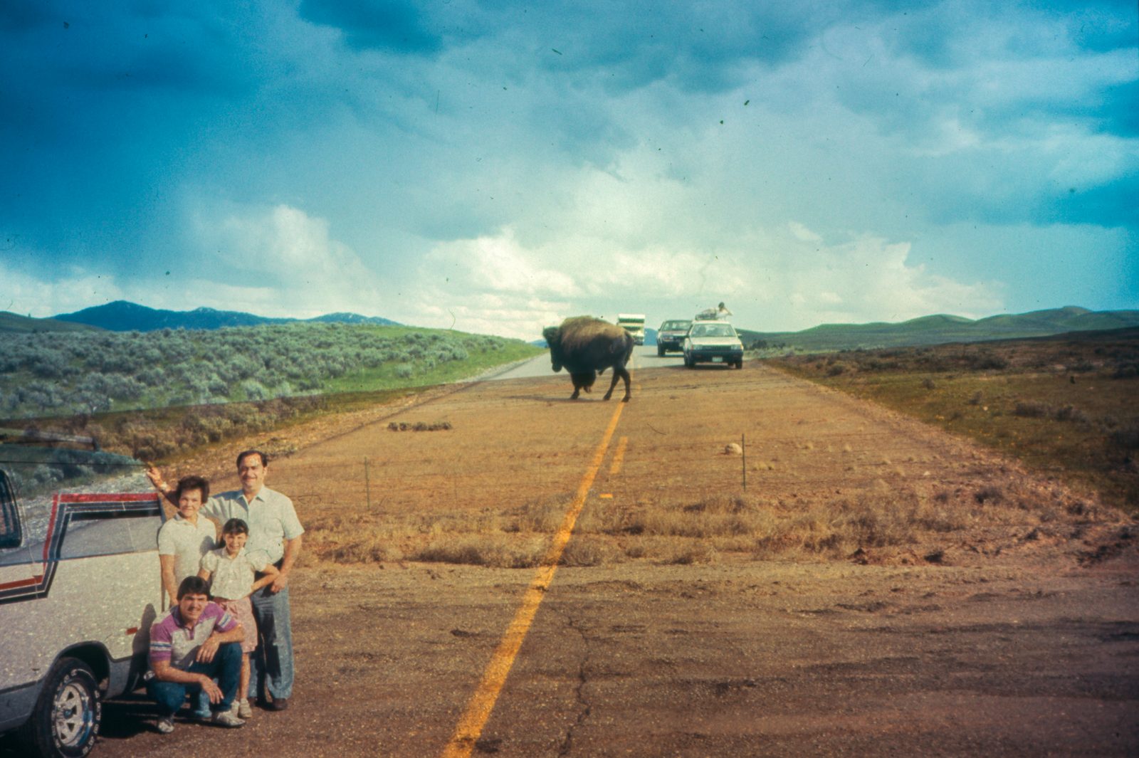 Two slides overlapped to play with scale: a bison crosses a two-lane road under a stormy sky beside a family posing by their car.